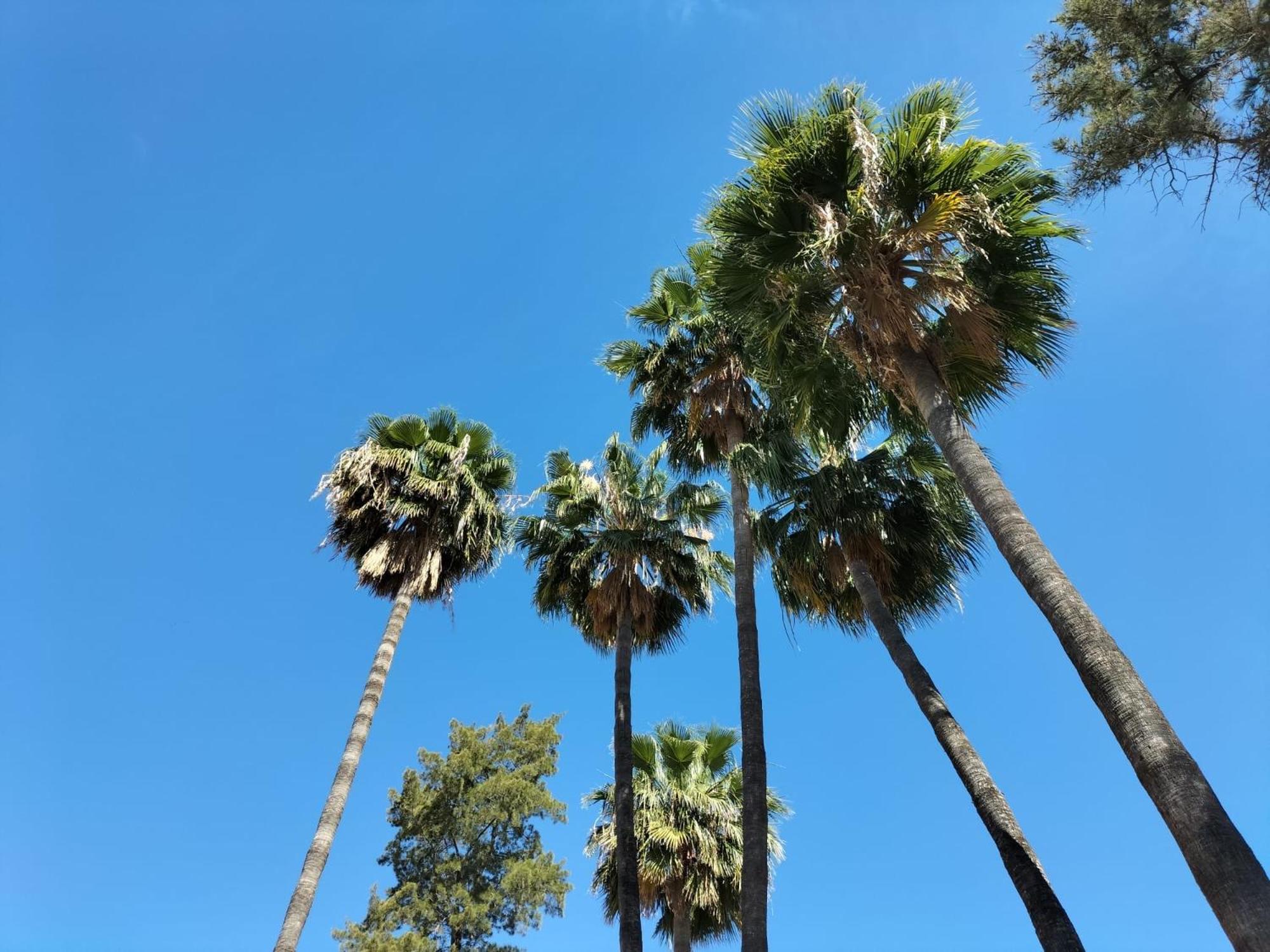 Vas Malaga Ciudad Málaga Exterior foto